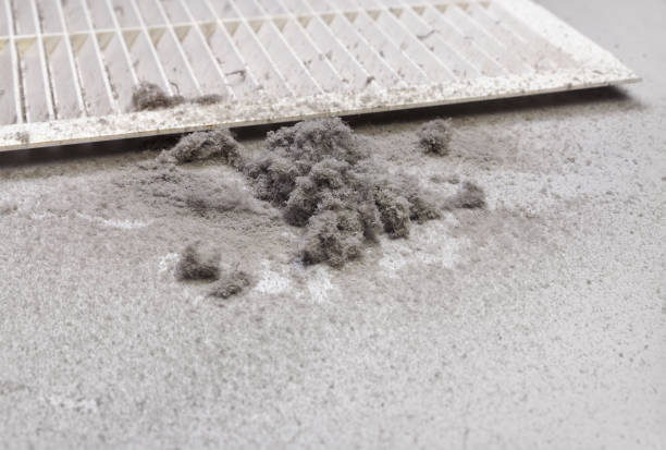 Best HVAC Duct Inspection Services  in Samson, AL